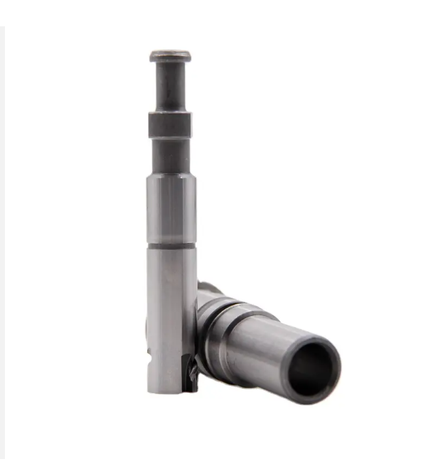 Dieselpumpe Kolbenelement 2418455055